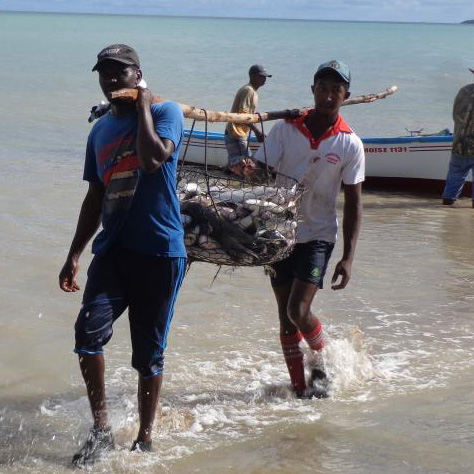 Iles Rodrigues : Les contradictions du secteur de la pêche!